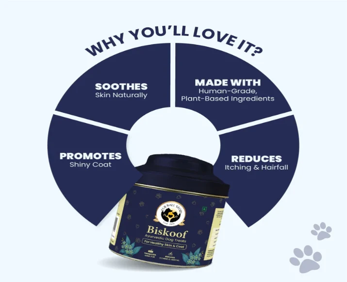 Fur Ball Story Biskoof Healthy Skin & Shiny Coat Buiscuits Treats, 150 GM at ithinkpets.com (3)