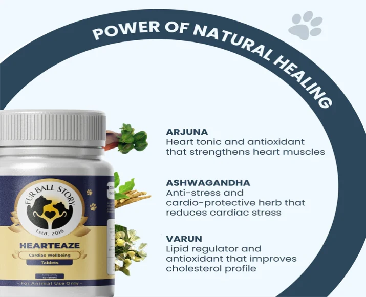 Fur Ball Story Hearteaze for Cardiac Well Being, 60 Tablets at ithinkpets.com (5)