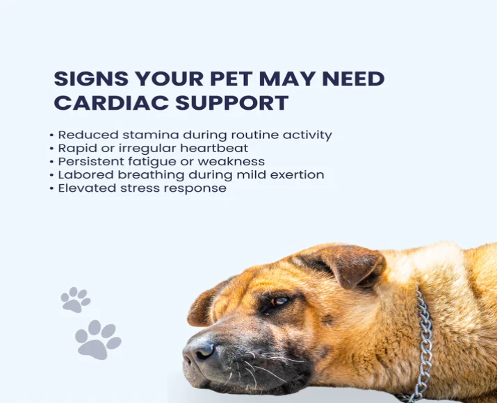 Fur Ball Story Hearteaze for Cardiac Well Being, 60 Tablets at ithinkpets.com (8)