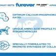 Furever Fur Bone, Bone Health Tablets for Dogs, Cats, 60 Tablets Ithinkpets (8)