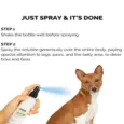 Moe Puppy Anti Tick Spray, Natural Lemongrass & Aloe Vera for Dogs & Cats, 100 ML at ithinkpets.com (5)