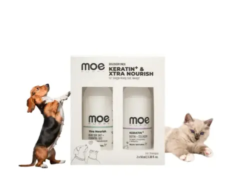 Moe Puppy Discovery Pack, Keratin Plus & Xtra Nourish Shampoo Combo, 2 x 50 ML at ithinkpets.com (1)