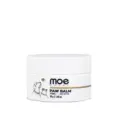 Moe Puppy Paw Cream Vitamin E Shea Butter for Dogs & Cats, 30 GM at ithinkpets.com (1) (1)