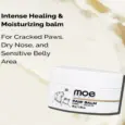 Moe Puppy Paw Cream Vitamin E Shea Butter for Dogs & Cats, 30 GM at ithinkpets.com (2)