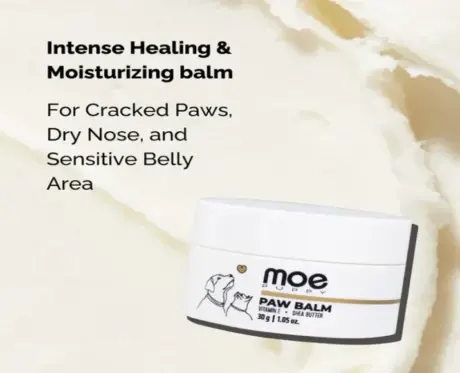 Moe Puppy Paw Cream Vitamin E Shea Butter for Dogs & Cats, 30 GM at ithinkpets.com (2)