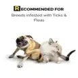 Moe Puppy Tick Spray and Shampoo Combo,Best Tick and flea protection for Dogs and Cats, 2 Products at ithinkpets.com 4