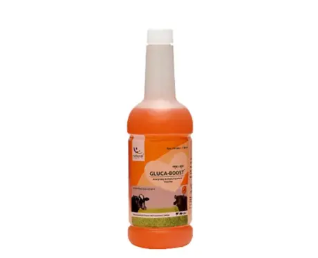 Natural Remedies Gluca Boost Liquid,Cattle Feed Supplement, 1 Litre Ithinkpets.com