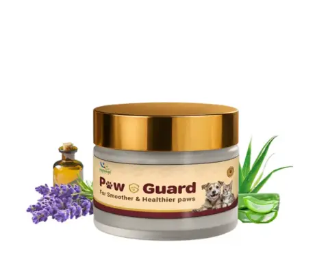 Natural Remedies Paw Guard for Dogs & Cats, Lick Safe Ayurvedic Paw Balm, 25 GM Ithinkpets (3)