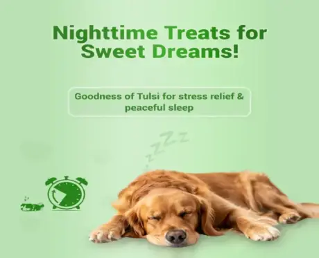 Natural Remedies Treat O Clock Hemp & Tulsi Calming Dog Treats,Stress Relief & Night-Time Snacks, 75 GM Ithinkpets (2)
