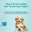 Natural Remedies Treat O Clock Milk & Chicken Dog Treats for Growth, Energy Booster,Calcium & Vitamin D3 Rich, 75 GM Ithinkpets (1)