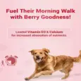 Natural Remedies Treat O Clock Strawberry & Chicken Dog Treats,Energy Booster with Vitamin D3 & Calcium, 75 GM Ithinkpets (1)