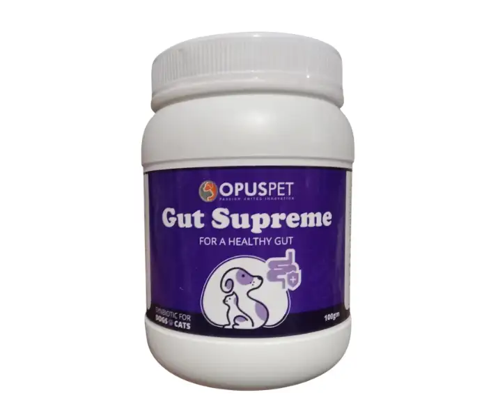 Opus Pet Gut Supreme Probiotic Supplement for Dogs & Cats, 100 GM Ithinkpets (1)