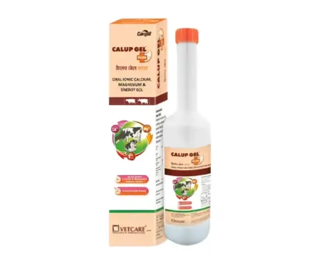 Provimi Calup Gel Plus for Cows & Cattles , 400 GM Ithinkpets.com