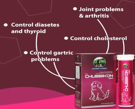 Skonner Pharma Chubbikon Multivitamins for Dog and Cat Weight Management Formula, 30 Tablets at ithinkpets.com (2)