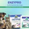 Skonner Pharma Enzypro Advanced Preboitics Enzymes For Dog and Cat, 6 x 5 GM Sachets at ithinkpets.com (4)