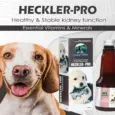 Skonner Pharma Heckler PRO for Renal Care in Cats and Dogs, 200 ML at ithinkpets.com (2)