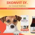 Skonner Pharma Skonvit Syrup Multivitamin Supplement for Dogs, 200 ML at ithinkpets.com (2)