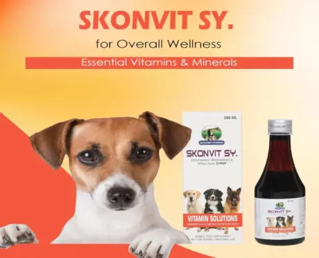 Skonner Pharma Skonvit Syrup Multivitamin Supplement for Dogs, 200 ML at ithinkpets.com (2)