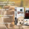 Skonner Pharma Urikon Syrup for Dogs & Cats, 90 ML at ithinkpets.com (2)