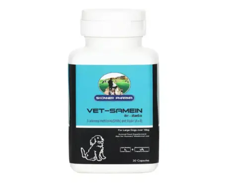 Skonner Pharma Vet Samein Large Tablets, 30 Tablets at ithinkpets.com (2)