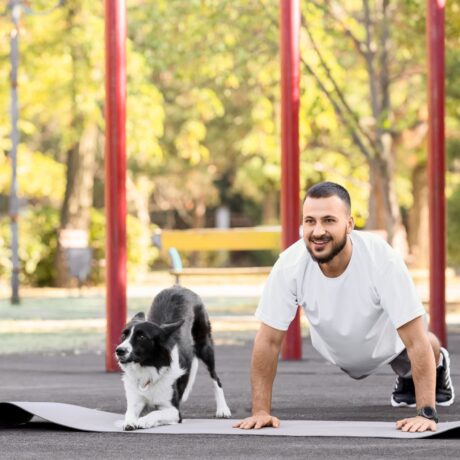 Summer Care for Pets