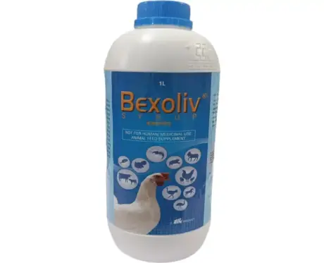 TTK Bexoliv supplement for cattle sheep goats 1 litre – Ithinkpets.com