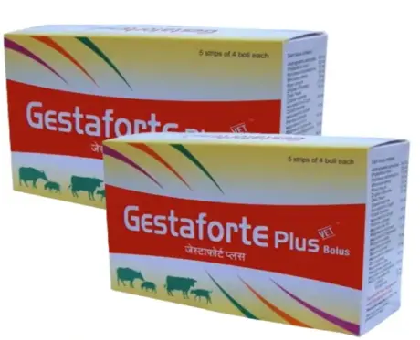 TTK Gestaforte Plus Bolus veterinary fertility bolus for cows and buffaloes – Ithinkpets.com