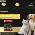 TTK Orcal Pet Bone Builder for Dogs and Cats, 400 GM at ithinkpets.com (2)