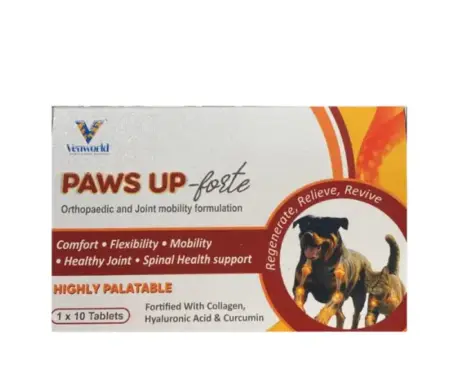 Venkys Paws Up Forte Joint Supplement for Dogs, 10 Tablets at ithinkpets.com 1