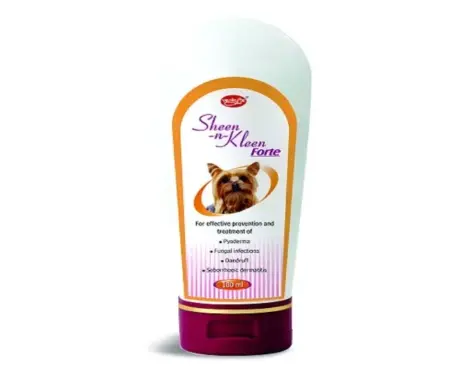 Venkys Sheen N Kleen Forte Shampoo for Dogs and Cats, 200 ML at ithinkpets.com (1)
