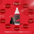 Venttura Ferro Plus Cat, Blood Booster & Immunity Supplement for Cats,100 ML at ithinkpets.com (2)