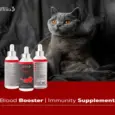 Venttura Ferro Plus Cat, Blood Booster & Immunity Supplement for Cats,100 ML at ithinkpets.com (4)