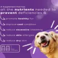 Venttura Fur Plus Chewable Skin & Coat Supplement Tablets for Dogs, 45 Tablets at ithinkpets.com (3)