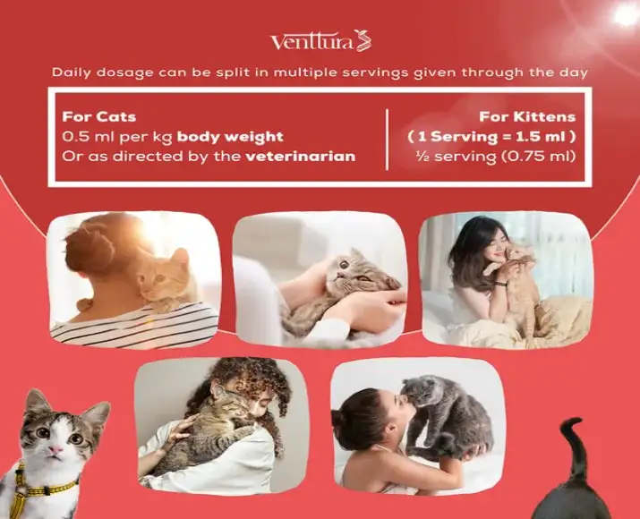 Venttura Immunity Booster supplement for cats immune support Ithinkpets.com