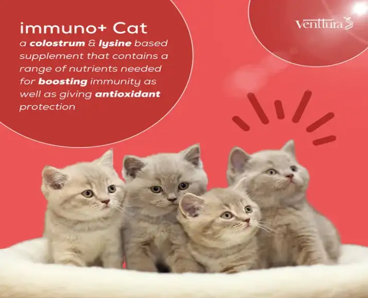 Venttura Immunity Booster cat immunity and stress relief liquid Ithinkpets.com
