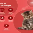 Venttura Immunity Booster supplement for cats immune support Ithinkpets.com
