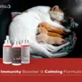 Venttura Immunity Booster supplement for cats immune support Ithinkpets.com