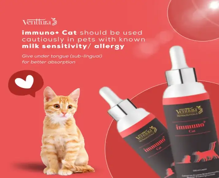Venttura Immunity Booster supplement for cats immune support Ithinkpets.com