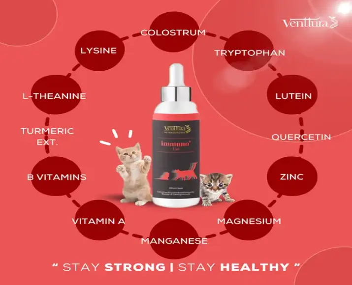 Venttura Immunity Booster cat immunity and stress relief liquid Ithinkpets.com