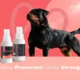 Venttura Immuno Plus Spray for dogs immune support spray Ithinkpets.com