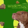 Venttura Inhancer Hip & Joint Soft Nuggets Supplements for Dogs, 340 GM at ithinkpets.com (2)