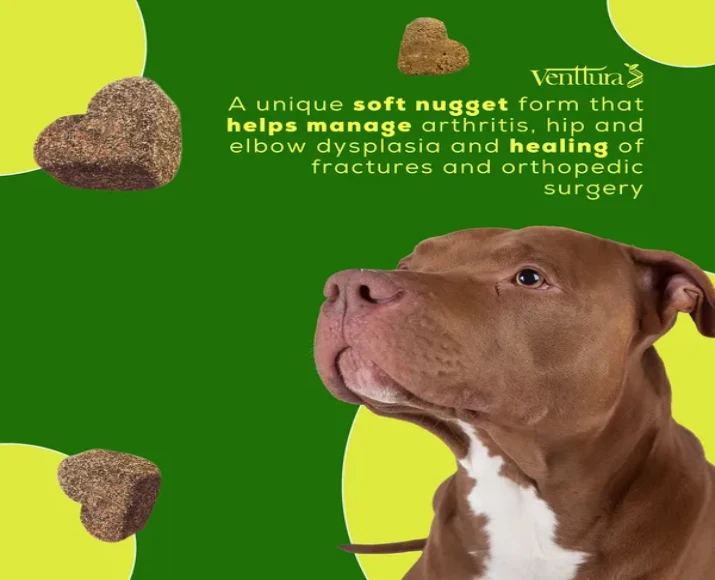 Venttura Inhancer Hip & Joint Soft Nuggets Supplements for Dogs, 340 GM at ithinkpets.com (2)