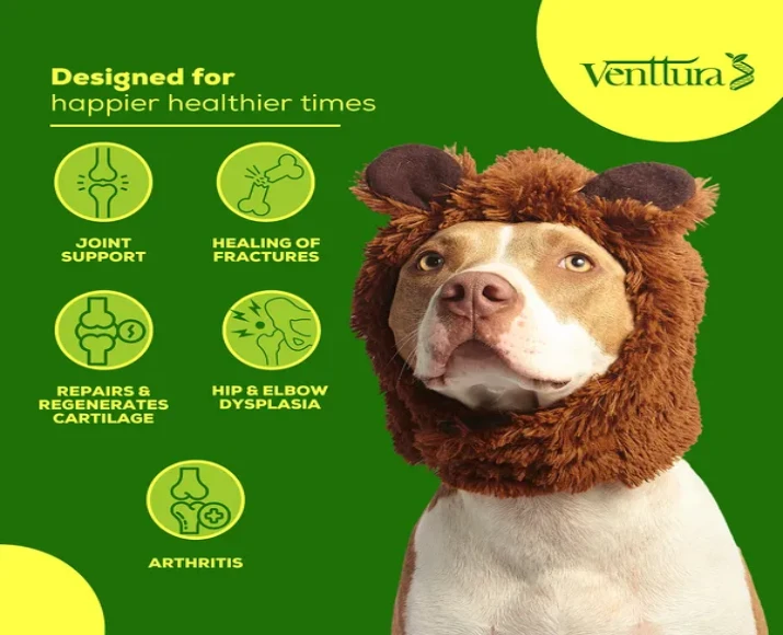 Venttura Inhancer Hip & Joint Soft Nuggets Supplements for Dogs, 340 GM at ithinkpets.com (3)