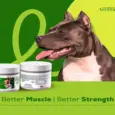Venttura Inhancer Hip & Joint Soft Nuggets Supplements for Dogs, 340 GM at ithinkpets.com (5)
