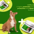 Venttura Inhancer Hip & Joint Soft Nuggets Supplements for Dogs, 340 GM at ithinkpets.com (6)