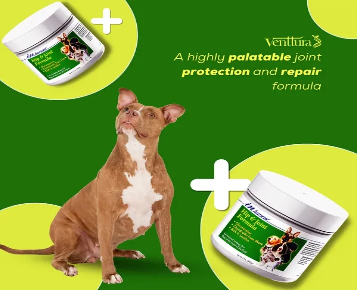 Venttura Inhancer Hip & Joint Soft Nuggets Supplements for Dogs, 340 GM at ithinkpets.com (6)