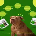 Venttura Inhancer Hip & Joint Soft Nuggets Supplements for Dogs, 340 GM at ithinkpets.com (7)