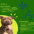 Venttura Inhancer Hip & Joint Soft Nuggets Supplements for Dogs, 340 GM at ithinkpets.com (8)