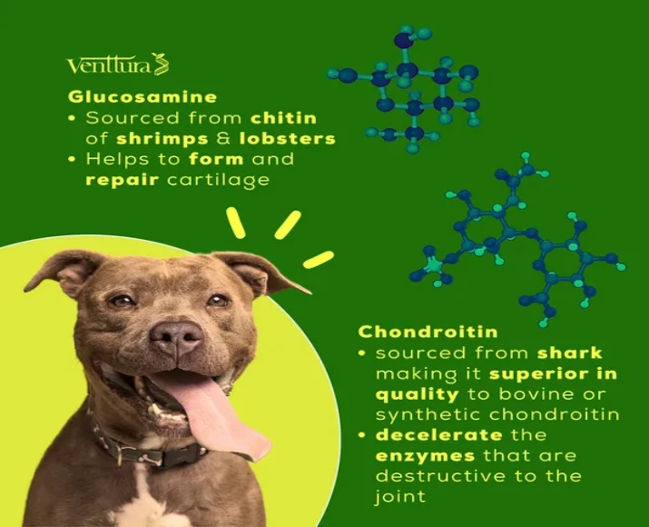 Venttura Inhancer Hip & Joint Soft Nuggets Supplements for Dogs, 340 GM at ithinkpets.com (8)