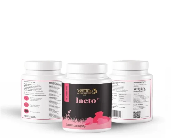 Venttura Lacto Plus Milk Boosters Chewable Tablets for Dogs, 45 Tablets at ithinkpets.com (1) (1)